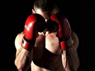 Boxer 981098765364742